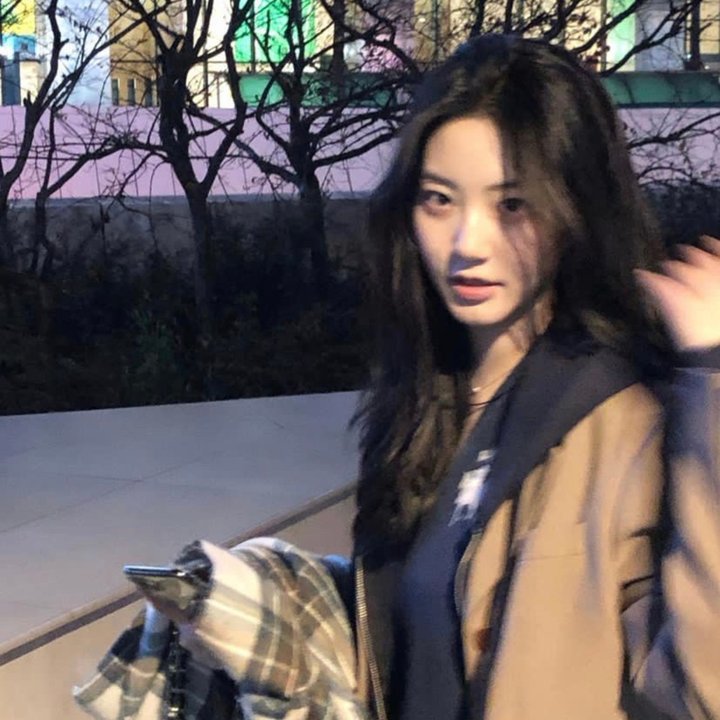 奔流犬:先生归来